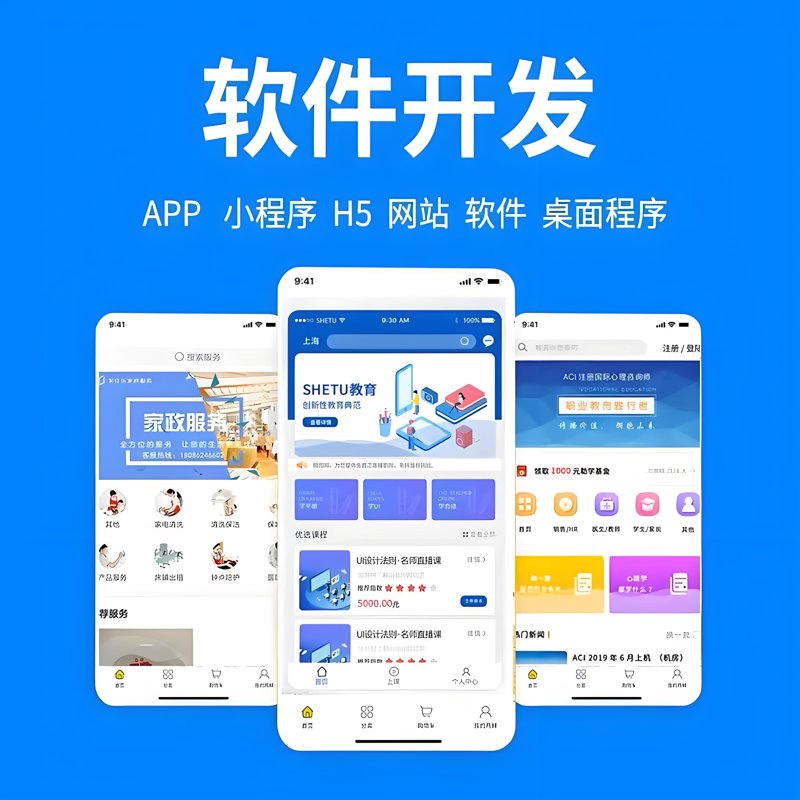 APP定制服务，如何选择最合适的合作伙伴？——深度解析两种主流方案